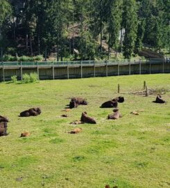 🐅 Zoo Juraparc – Vallorbe