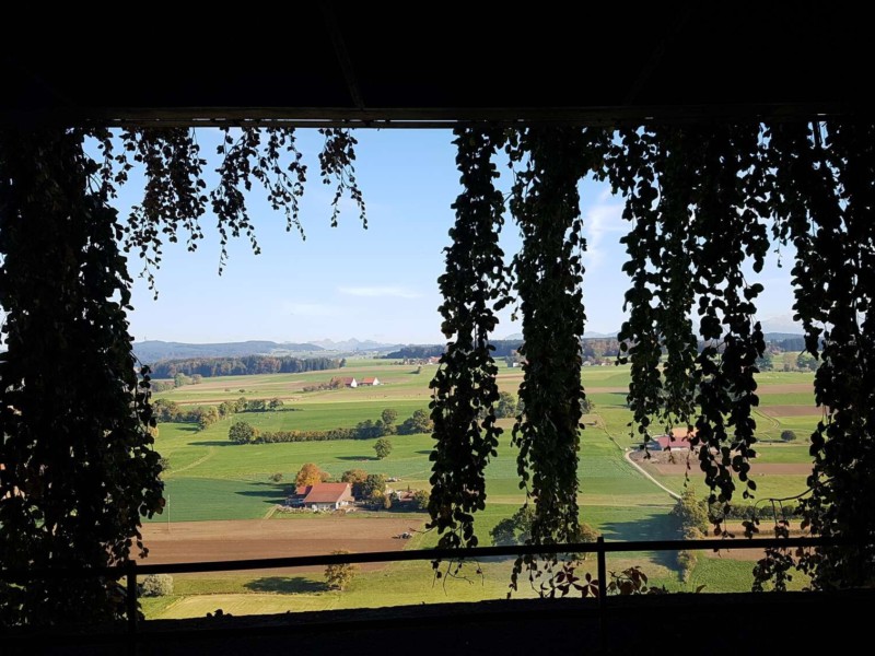 La vue, en été, sur les Préalpes fribourgeoise. Le Vitromusée de Romont ou musée suisse du vitrail et des arts du verre