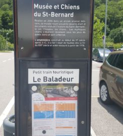 🖼️🐶 Barryland Musée et Chiens du Saint-Bernard – Martigny