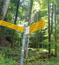 ⛰️ Gorges de l’Areuse – Noiraigue-Boudry