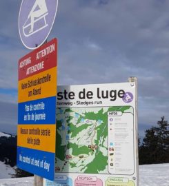 🛷 Piste de Luge d’Hiver du Moléson