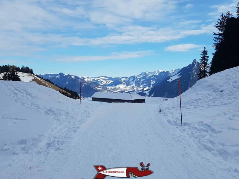 La piste de luge du Moléson.