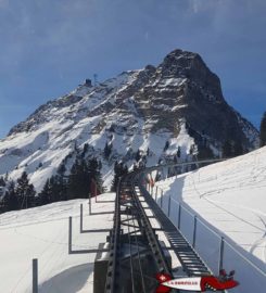 🛷 Piste de Luge d’Hiver du Moléson