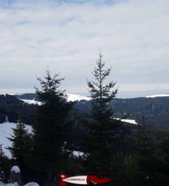 🛷 Piste de Luge d’Hiver du Moléson