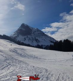 🛷 Piste de Luge d’Hiver du Moléson