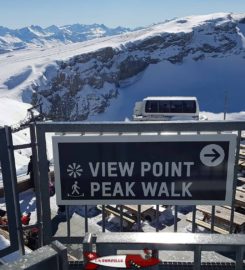 🚠🌉🛷⛷️ Peak Walk Glacier 3000 – Les Diablerets