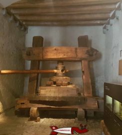 🍔 Musée de la Vigne du Vin et de l’Étiquette – Aigle