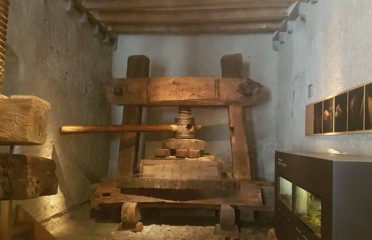 🍔 Musée de la Vigne du Vin et de l’Étiquette – Aigle