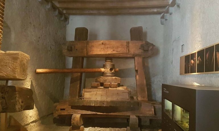 🍔 Musée de la Vigne du Vin et de l’Étiquette – Aigle