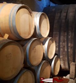 🍔 Musée de la Vigne du Vin et de l’Étiquette – Aigle