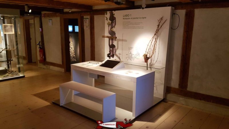 Un poste interactif au premier étage du musée de la vigne et du vin d'aigle