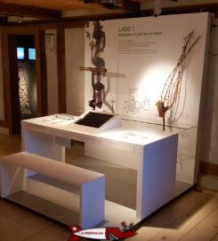 🍔 Musée de la Vigne du Vin et de l’Étiquette – Aigle
