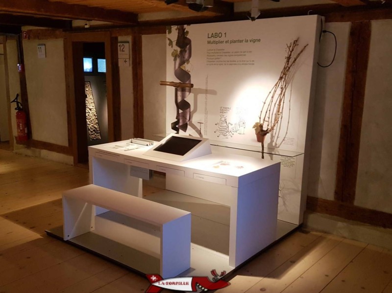 Un poste interactif au premier étage du musée de la vigne et du vin d'aigle Un poste interactif au premier étage du musée de la vigne et du vin d'aigle
