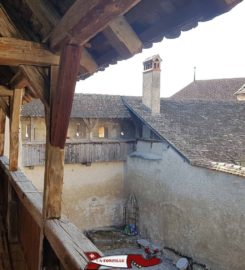 🍔 Musée de la Vigne du Vin et de l’Étiquette – Aigle