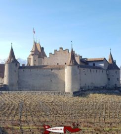 🍔 Musée de la Vigne du Vin et de l’Étiquette – Aigle