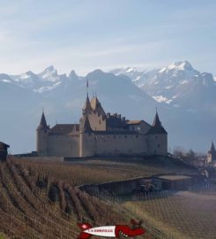 🍔 Musée de la Vigne du Vin et de l’Étiquette – Aigle