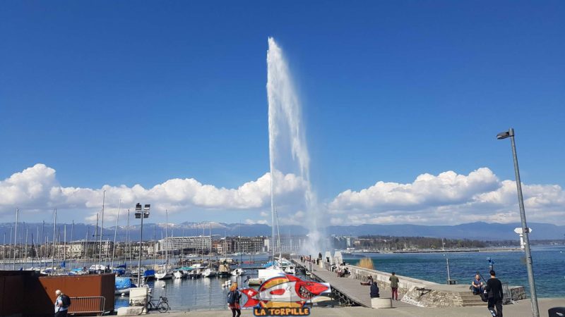 Le fameux jet d'eau de Genève dans la rade.