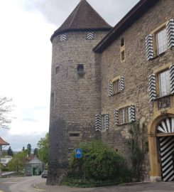 🏰🚜 Vieille Ville et Château de Morat
