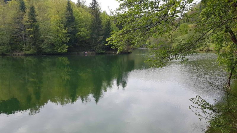 Lac artificiel à l'Arboretum d'Aubonne