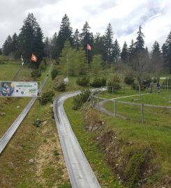 🛷 Luge d’Été à la Vue des Alpes