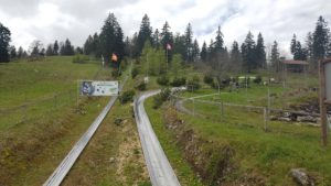 luge à la vue des alpes