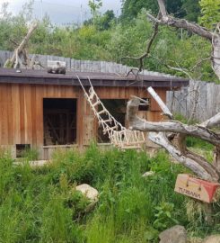 🐅 Zoo de la Garenne Le Vaud