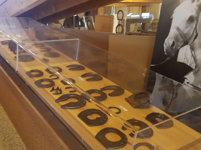 Objets liés au cheval présenté au musée Suisse du cheval avec des fers à cheval