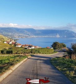 🚂 Lavaux Express Cully
