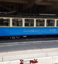 🚂🐶🌼 Train des Rochers de Naye