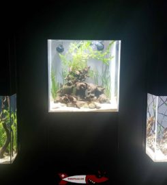 🐊🐟 Aquatis – Aquarium et Vivarium – Lausanne