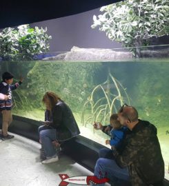 🐊🐟 Aquatis – Aquarium et Vivarium Lausanne