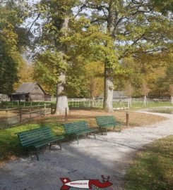 🗼🐐 Parc, Tour et Zoo de Sauvabelin Lausanne