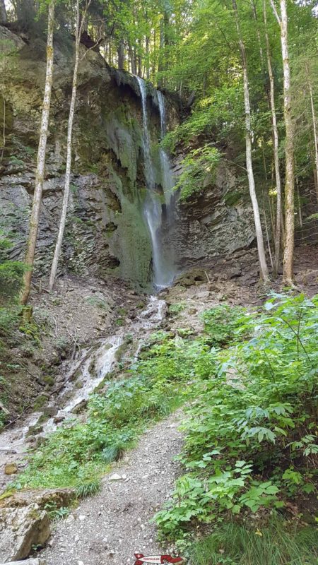 La cascade le long du chemin forestier aux Gorges de la Jogne