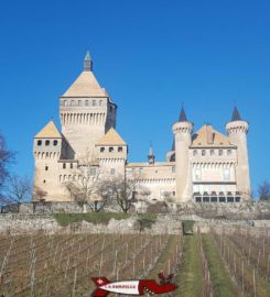 🏰 Château de Vufflens