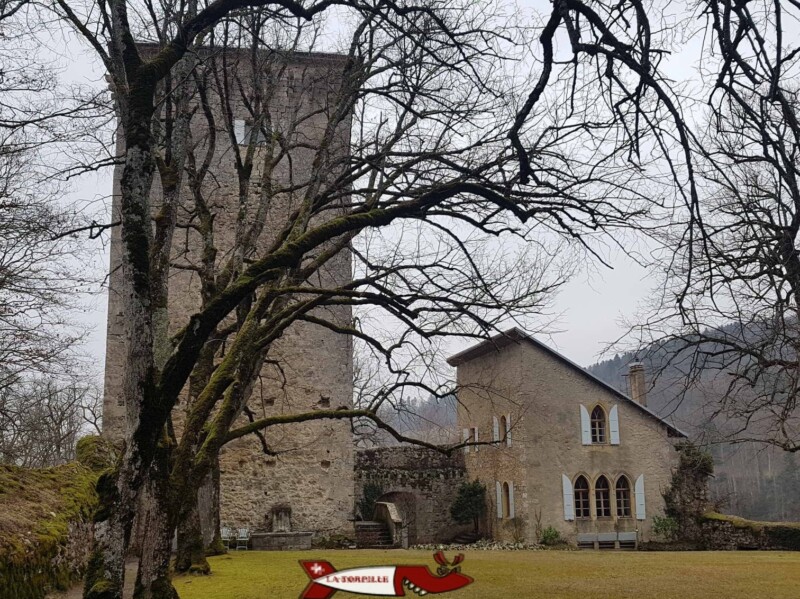 Le donjon du château des Clées et les ruines des remparts. Le donjon du château des Clées et les ruines des remparts.
