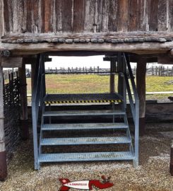 🏠🏺 Laténium Parc et Musée Archéologique – Hauterive