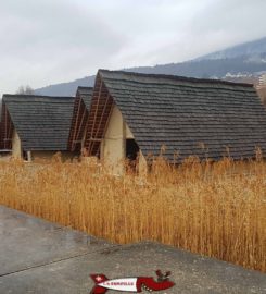 🏠🏺 Laténium Parc et Musée Archéologique – Hauterive