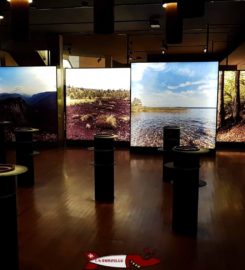 🏠🏺 Laténium Parc et Musée Archéologique – Hauterive