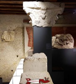 🏺 Musée Romain d’Avenches