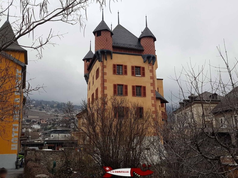 Le château des vidomnes