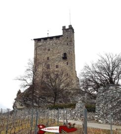 🏰 Château de Goubing