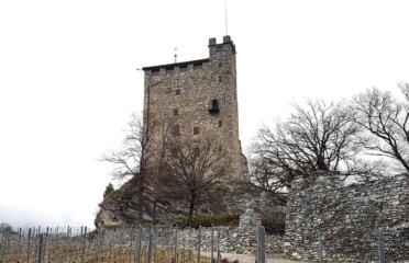 🏰 Château de Goubing