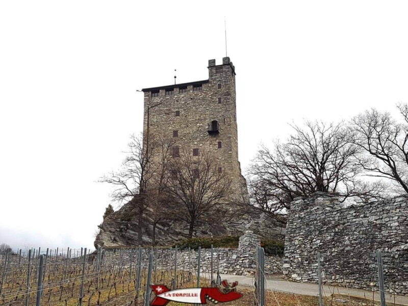 Le château de Goubing entouré d'un vignoble près du château des Vidomnes Le château de Goubing entouré d'un vignoble près du château des Vidomnes