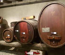 🖼️ Musée du Vin du Valais – Sierre