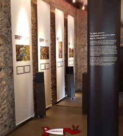 🍔 Musée du Vin du Valais – Sierre