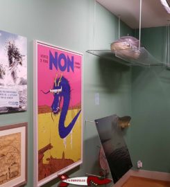 🖼️🐟 Musée du Léman et Aquarium – Nyon