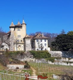 🏰 Château de Vaumarcus