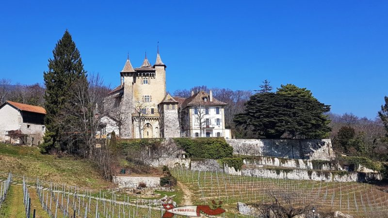 château de vaumarcus avec le cèdre