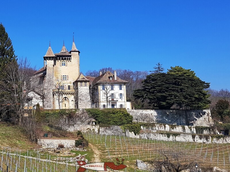 château de vaumarcus avec le cèdre