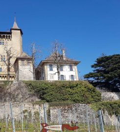 🏰 Château de Vaumarcus